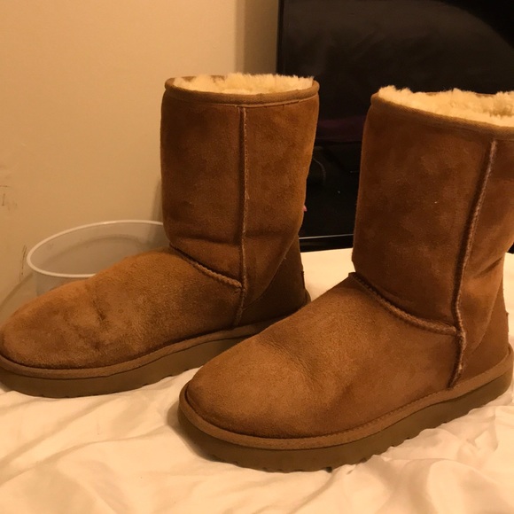 Chestnut uggs - Picture 2 of 4